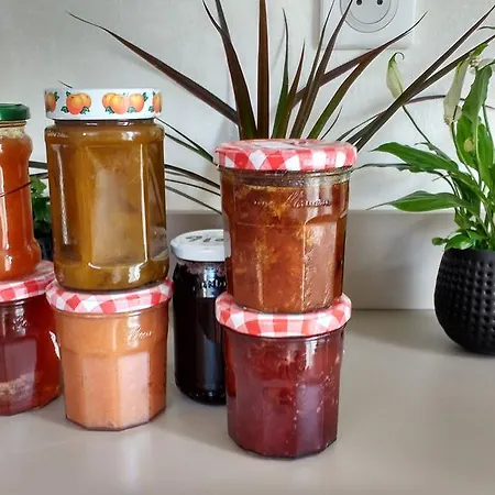 Alojamento de Acomodação e Pequeno-almoço D'hôtes Le Tilleul De Canac Parking Privé Gratuit Petits Déjeuners Compris